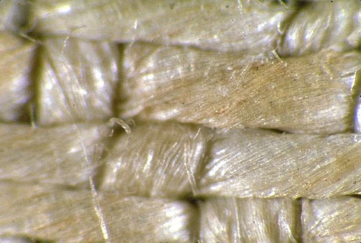 Detailaufnahme des Stoffes    © STERA  Die Bildsubstanz befindet sich immer nur auf einzelnen Faser