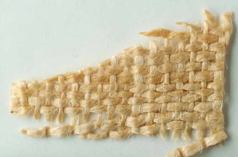 Sample 2: Egyptian Mummy (2nd Century AD)